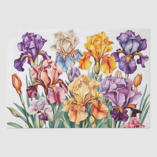 Papel De Seda Flores de iris (Anverso)