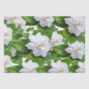 Papel De Seda Flores de jardinería blanca y verde  