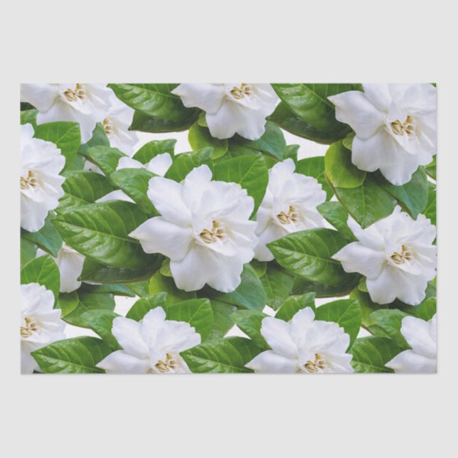 Papel De Seda Flores de jardinería blanca y verde   (Anverso)