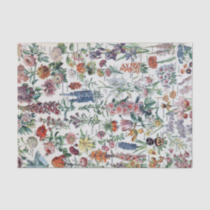 Papel De Seda Flores de la época francesa Adolphe Millot