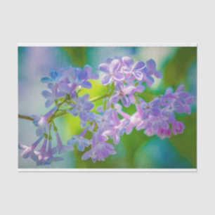 Papel De Seda Flores de Lilac Púrpura