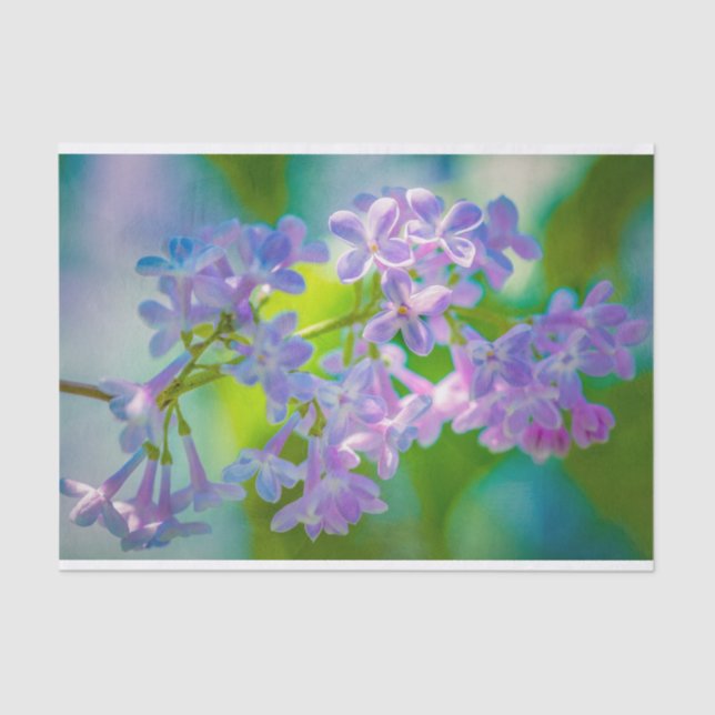 Papel De Seda Flores de Lilac Púrpura (Anverso)