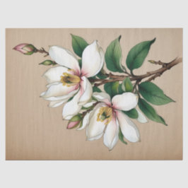 Papel De Seda Flores de Magnolia