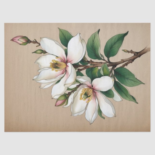 Papel De Seda Flores de Magnolia (Anverso)