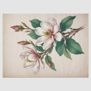 Papel De Seda Flores de Magnolia
