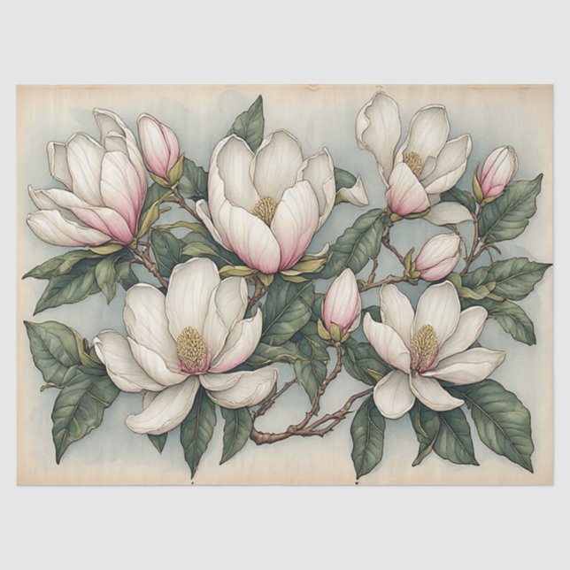 Papel De Seda Flores de Magnolia (Anverso)