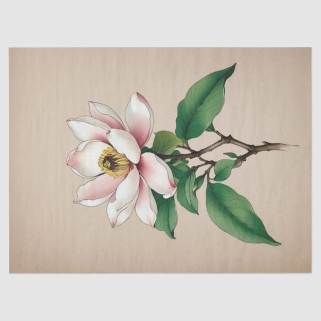 Papel De Seda Flores de Magnolia (Anverso)