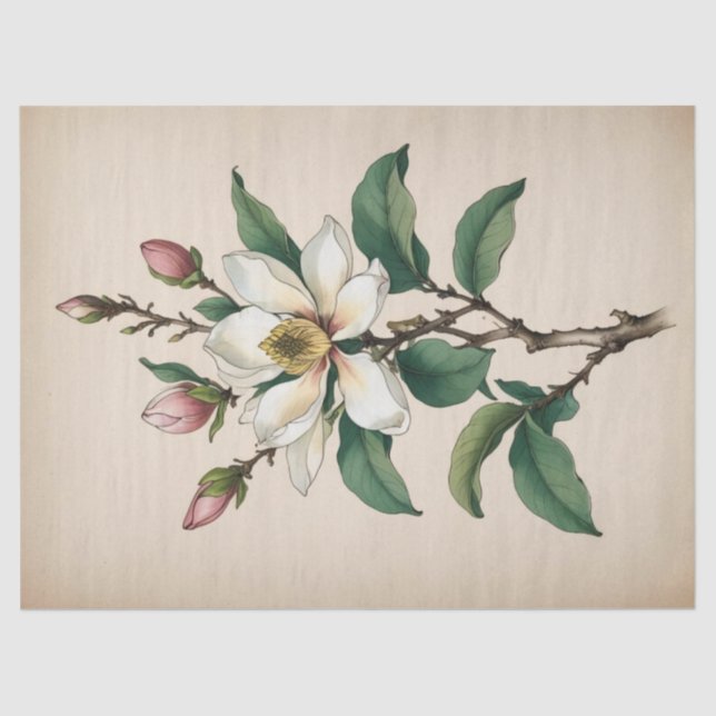 Papel De Seda Flores de Magnolia (Anverso)