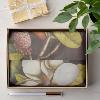 Papel De Seda Flores de Magnolia Antiguas con Semillas