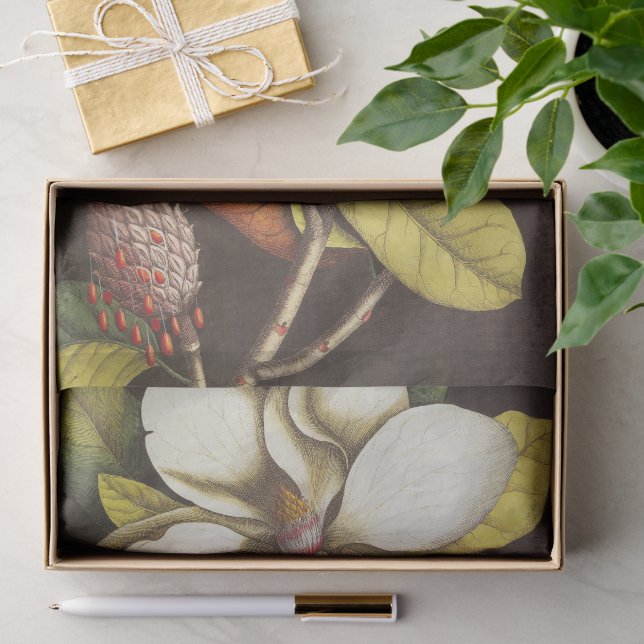 Papel De Seda Flores de Magnolia Antiguas con Semillas (Regalo )