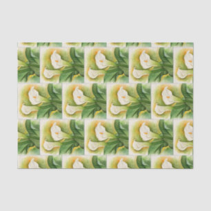 Papel De Seda Flores de Magnolia Blanca Floral Vintage Acuarela