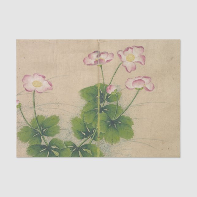 Papel De Seda Flores de malva por Zhang Ruoai (Anverso)