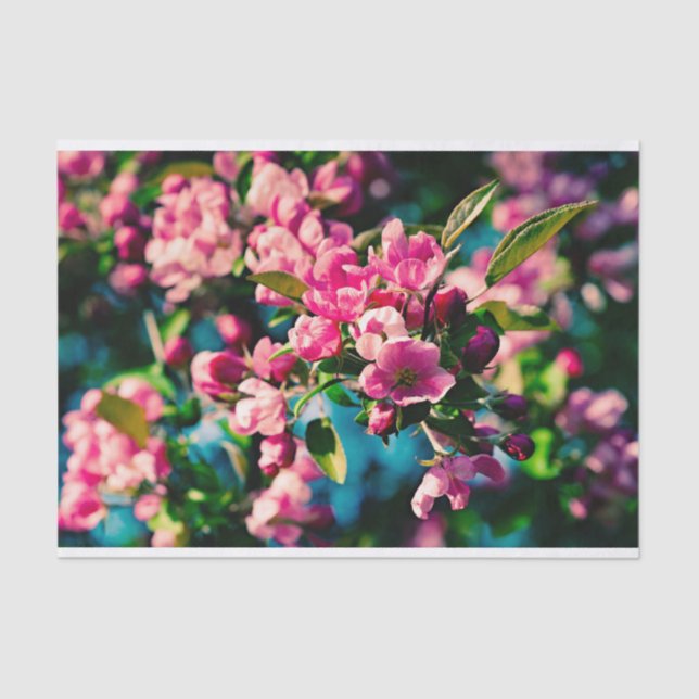 Papel De Seda Flores de manzana de cangrejo rosa (Anverso)