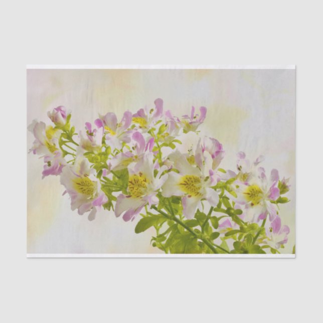 Papel De Seda Flores de mariposa (Anverso)