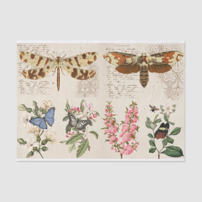 Papel De Seda Flores de mariposa de libélula (Anverso)