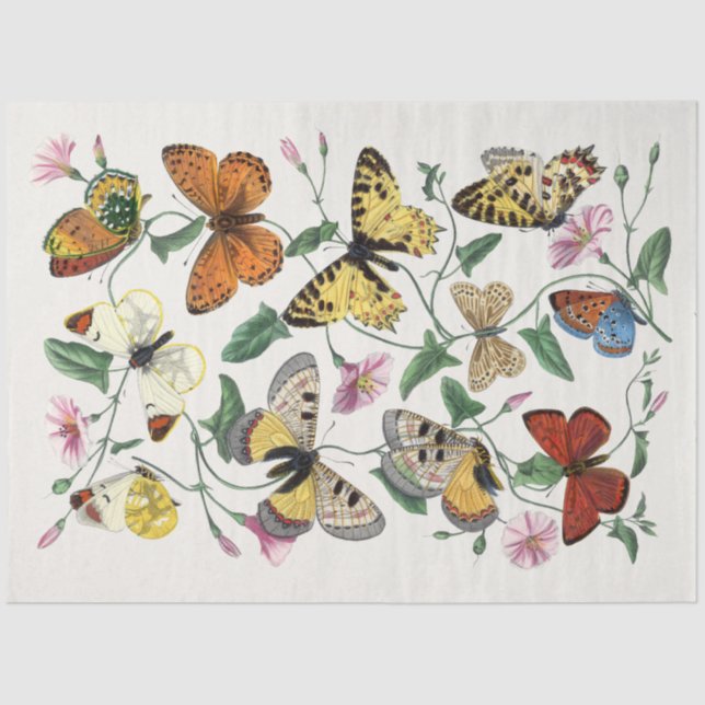 Papel De Seda Flores de mariposa polilla desvanecimientos rústic (Anverso)
