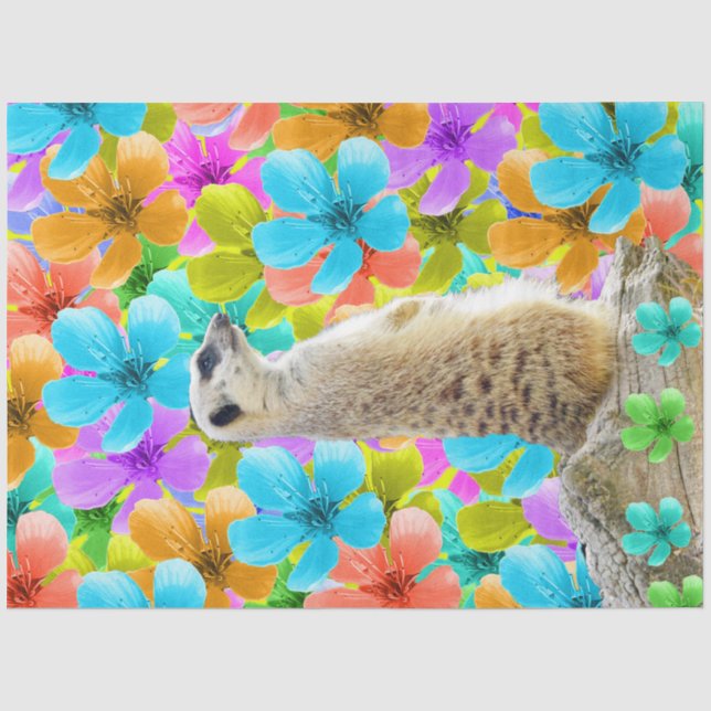 Papel De Seda Flores de Meerkat, (Anverso)