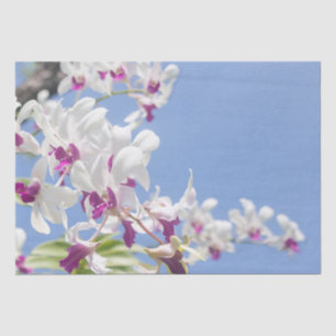 Papel De Seda Flores de orquídea morada y blanca