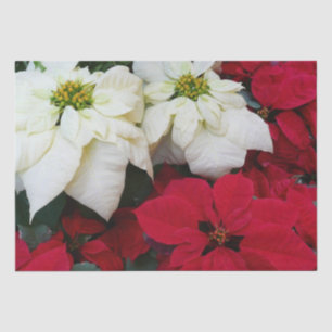 Papel De Seda Flores de Pascua Blancas y Rojas II Fiesta de Navi