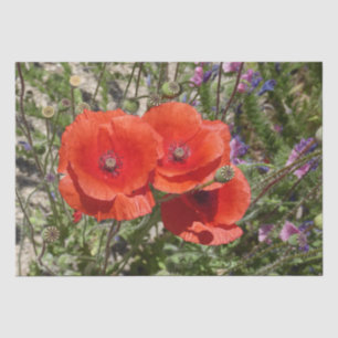 PAPEL DE SEDA FLORES DE POBRE