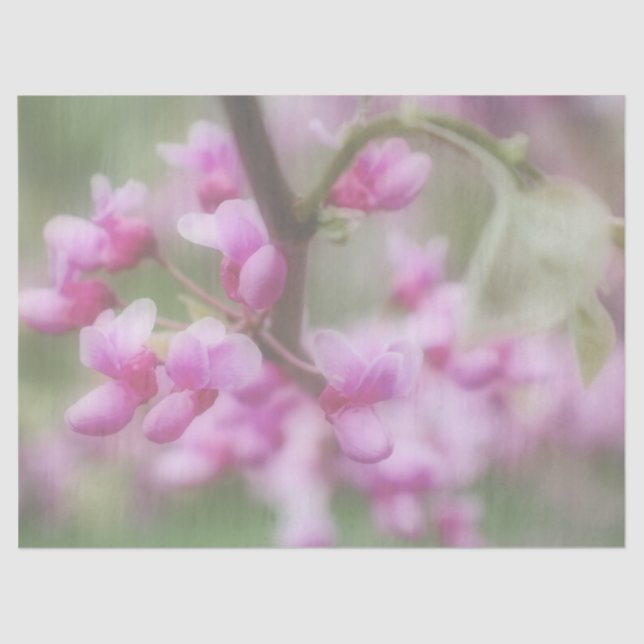 Papel De Seda Flores de repetición (Anverso)