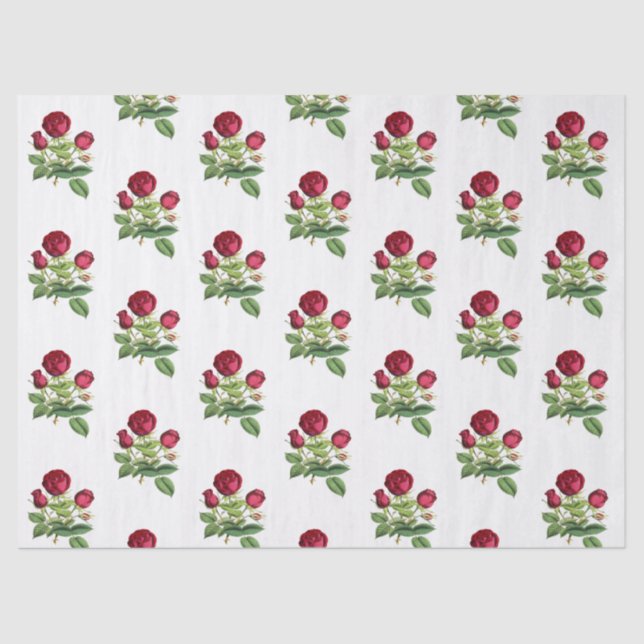 Papel De Seda Flores de Rosas de té rojo de época (Anverso)