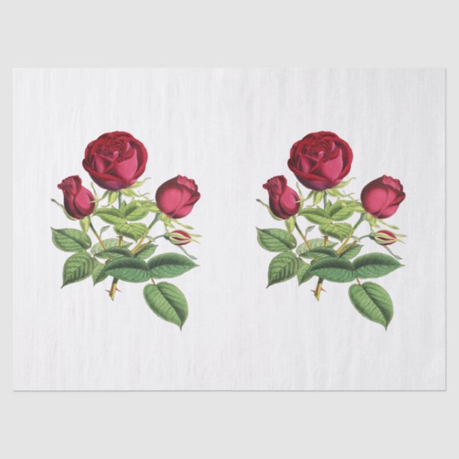 Papel De Seda Flores de Rosas de té rojo de época (Anverso)