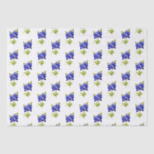 Flores de Texas Bluebonnets,