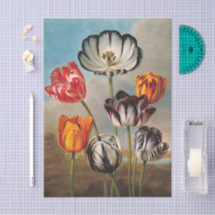 Papel De Seda Flores de tulipanes variados vintage en un paisaje