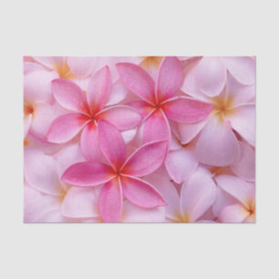 Papel De Seda Flores de verano rosadas de bonito