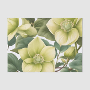Papel De Seda Flores elegantes de Hellebore
