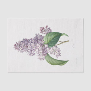Papel De Seda Flores Florales Lilac Decoupage