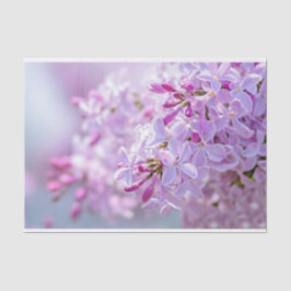 Papel De Seda Flores lilacas rosas