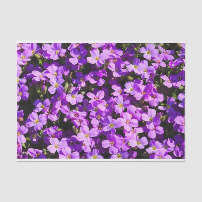 Papel De Seda Flores moradas (Anverso)
