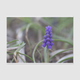 Papel De Seda Flores moradas