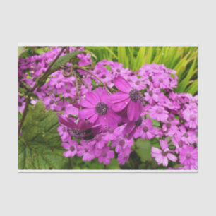 Papel De Seda Flores moradas de San Francisco