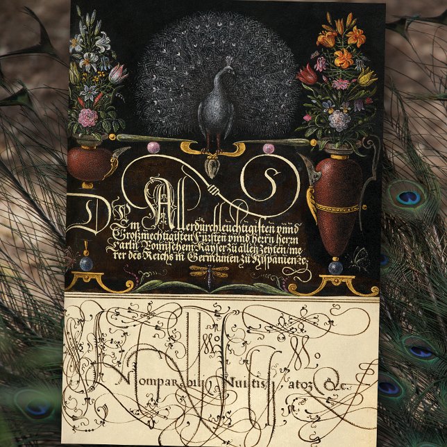 Papel De Seda Flores, pavo real, mariposas y caligrafía (Subido por el creador)