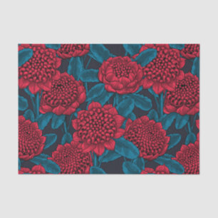 Papel De Seda Flores rojas de waratah