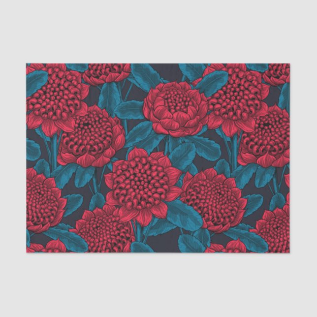 Papel De Seda Flores rojas de waratah (Anverso)