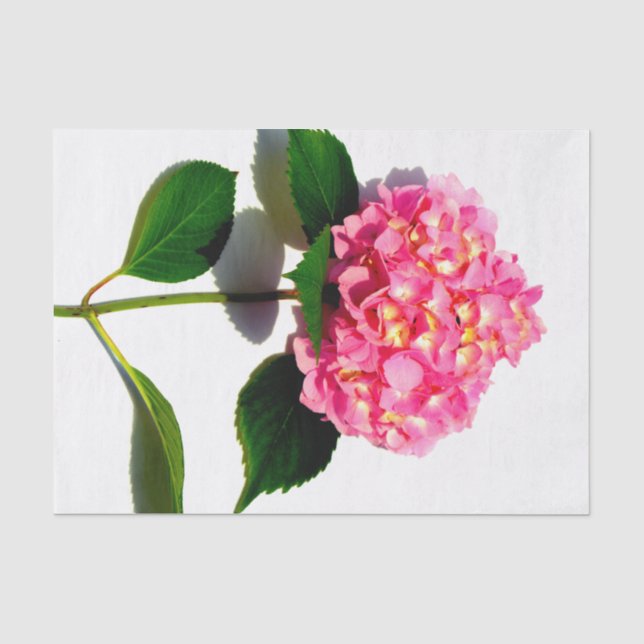 Papel De Seda Flores rosa elegantes hidrangea rosa (Anverso)