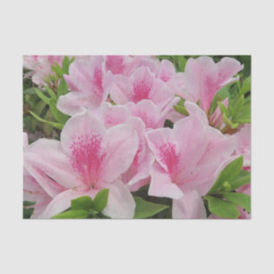 Papel De Seda Flores rosadas, japonesas, asiáticas, chinas, moda