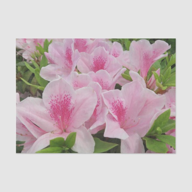 Papel De Seda Flores rosadas, japonesas, asiáticas, chinas, moda (Anverso)