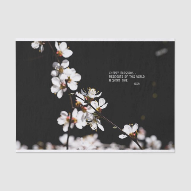 Papel De Seda Flores sakura (Anverso)