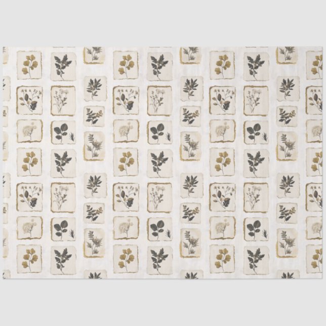 Papel De Seda Flores silvestres botánicas herbales prensadas sec (Anverso)