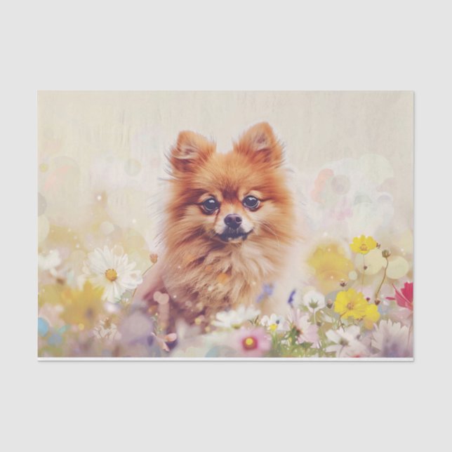 Papel De Seda Flores silvestres de primavera de Pomerania Decoup (Anverso)
