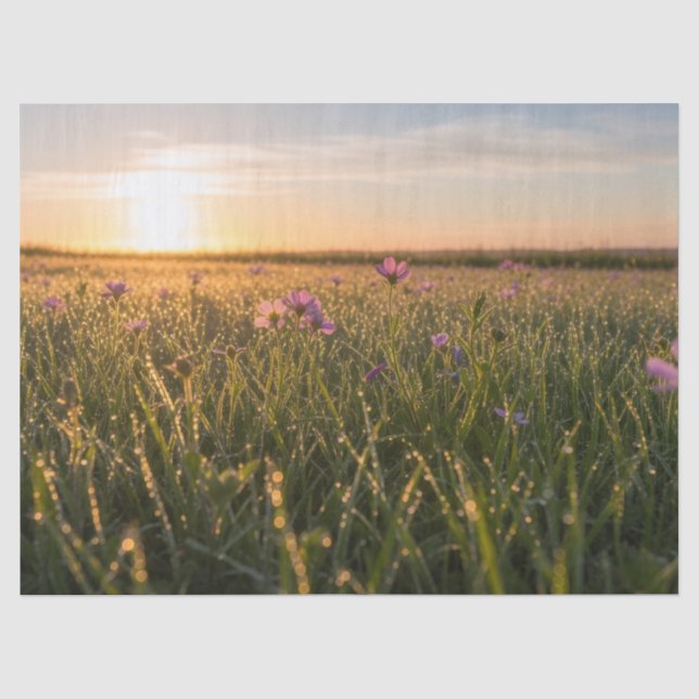 Papel De Seda Flores silvestres rosadas de pradera al amanecer c (Anverso)