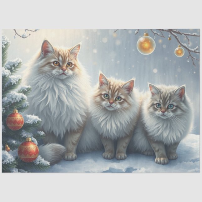 Papel De Seda Fluffy Christmas Cats Tissue Paper (Anverso)