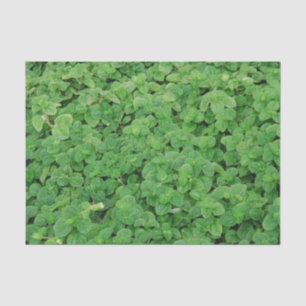 Papel De Seda Follaje de menta