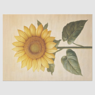 Papel De Seda Fondo de acuarela amarilla de girasol Decoupage