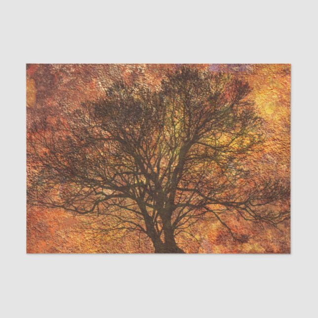 Papel De Seda Fondo de desenlace de árbol de otoño rústico (Anverso)